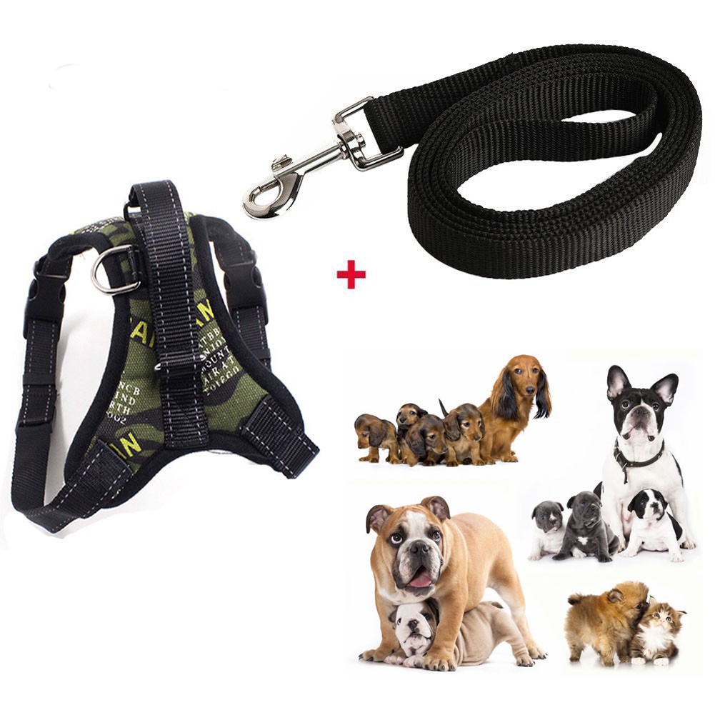 dog strap harness