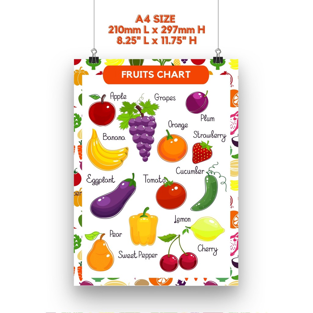 LAMINATED FRUITS CHART l A4 A3 SIZE Shopee Philippines