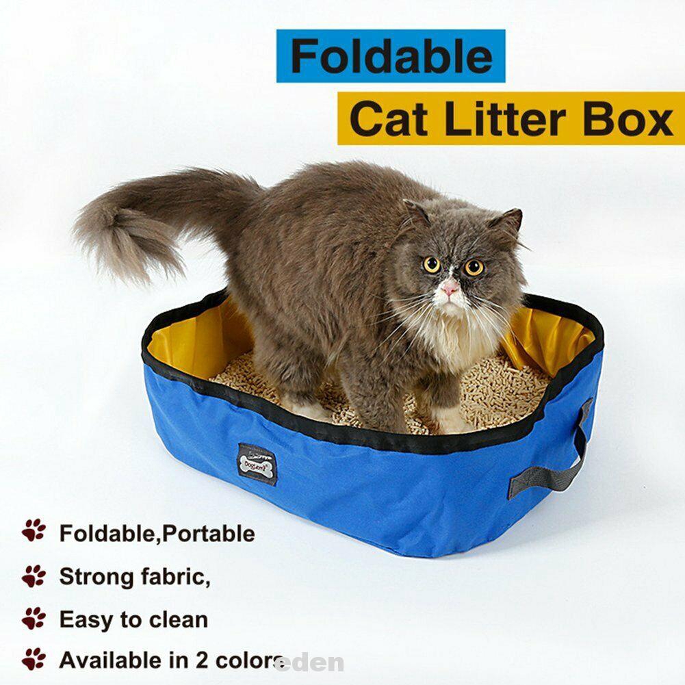 outdoor cat toilet