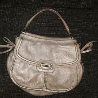 fortune duck purse