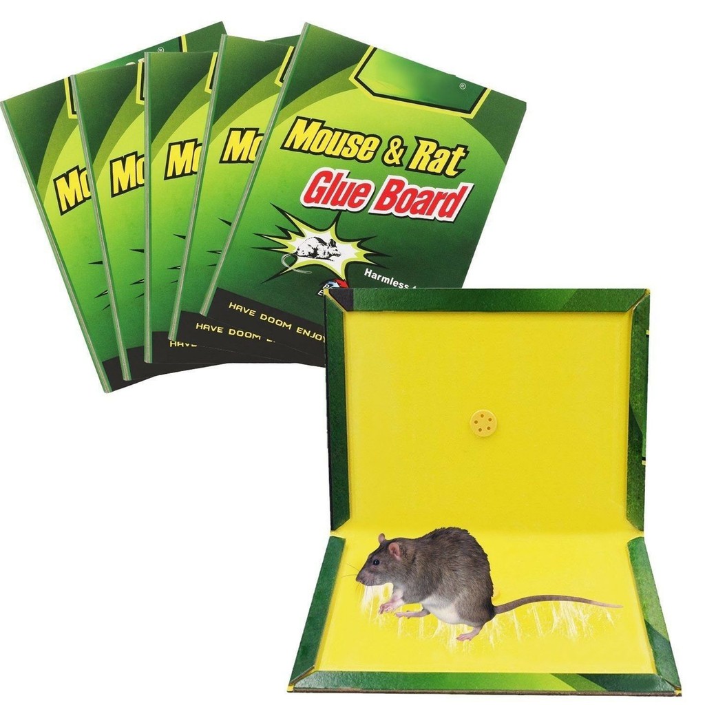 16 X 24 CM - Mouse Rat Glue Sticky Mice Traps Large Rodent Trap Pads Board  | Shopee Philippines