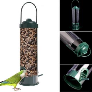 automatic mealworm feeder