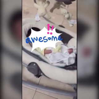 graco duetsoothe weight limit