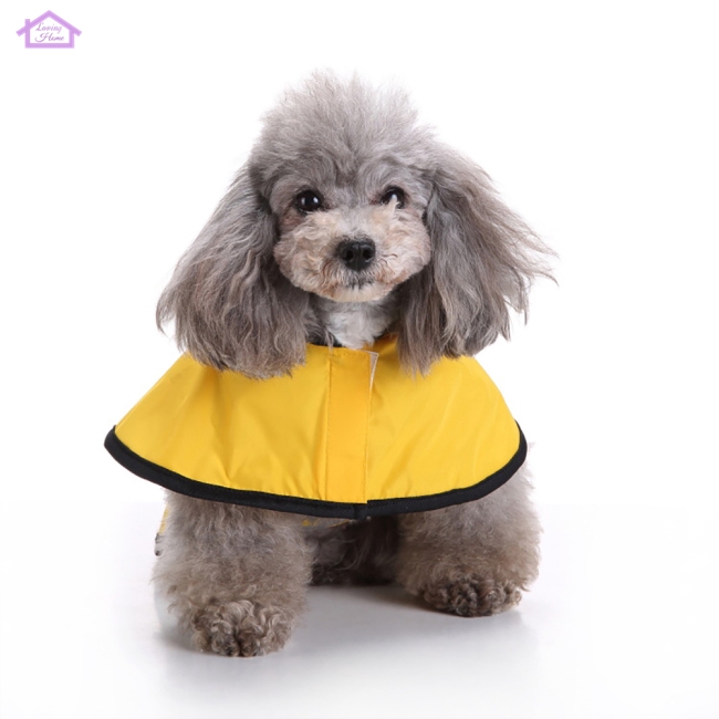 poodle raincoat
