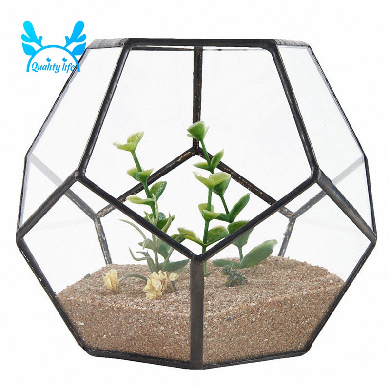 Glass Pentagon Geometric Terrarium Window Sill Decor Flower Pot