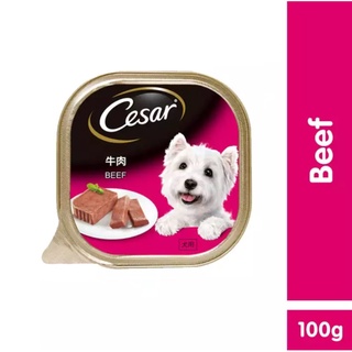 CESAR® Beef Wet Dog Food (100g)