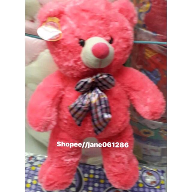 shopee teddy bear