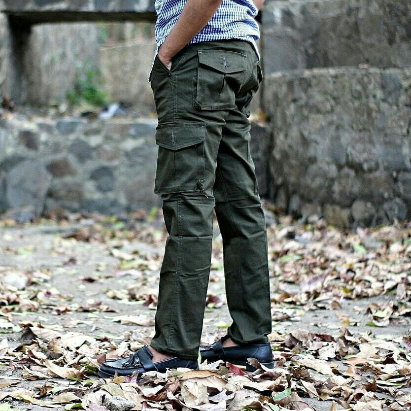cloth and stone cargo pants