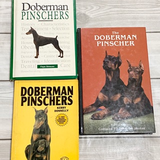 preloved doberman