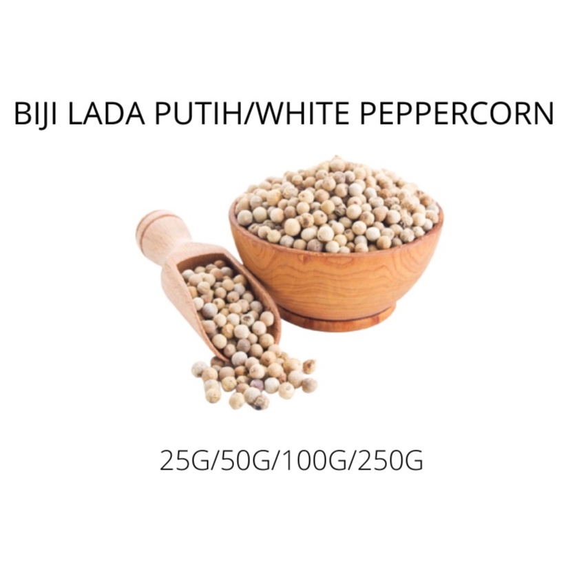 (GRED A) 100 Sarawak White Pepper Seeds / 100 Sarawak White