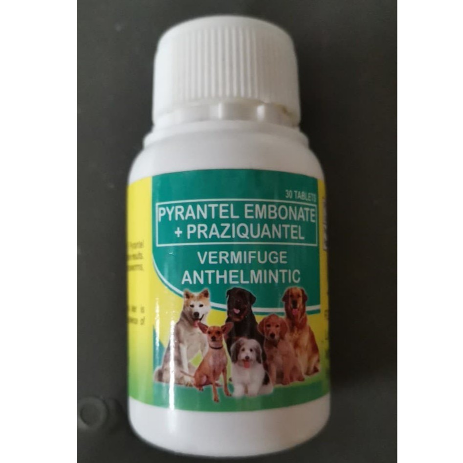 Papi Pyrantel Dewormer Tablet Vermifuge for Dogs (Medium to Large