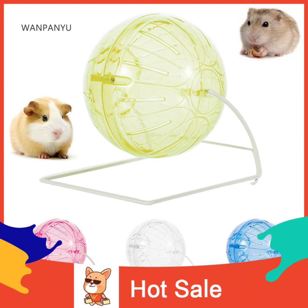 guinea pig balls for sale