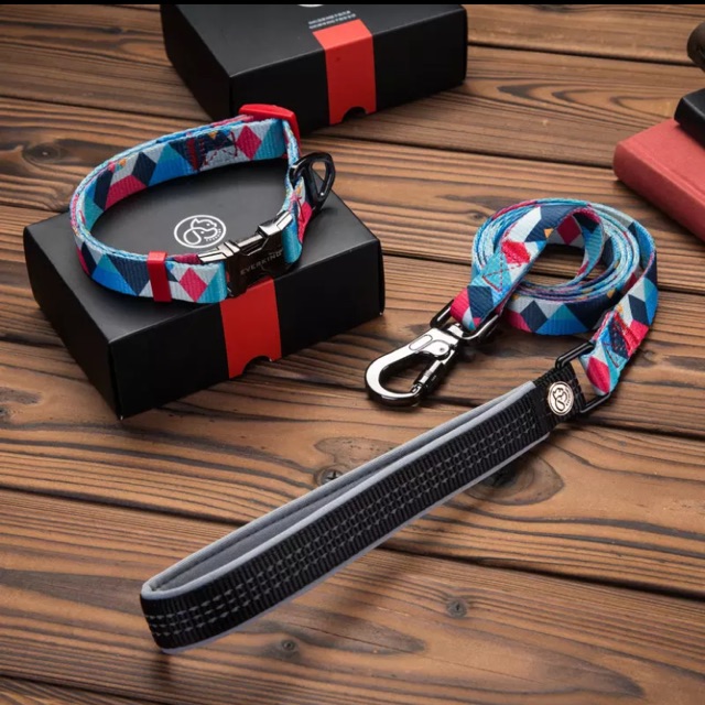 designer dog leashes and collars