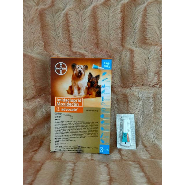 advocate for dogs lungworm