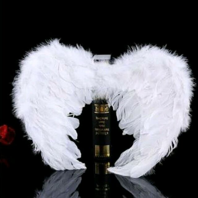 White Angel Wings Costume | Shopee Philippines