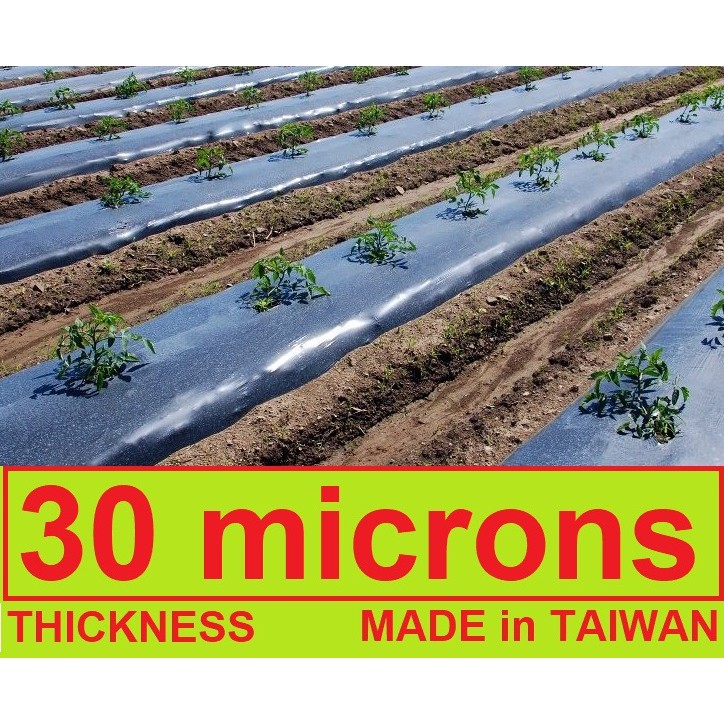 PLASTIC MULCH FILM 4ft x 10meters or 5meters Mulching Film (PRECUT