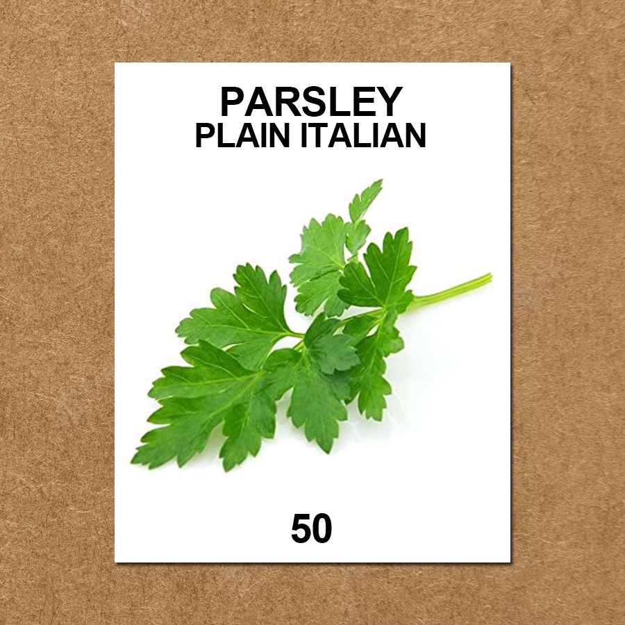 Parsley Plain Italian Seeds 50 pcs. Shopee Philippines