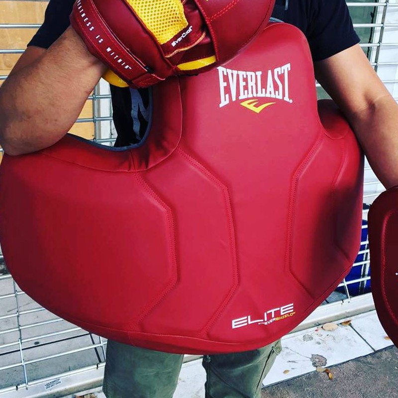 everlast chest protector