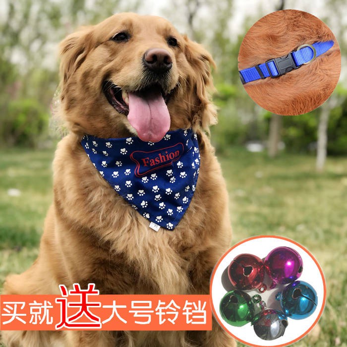 golden retriever scarf