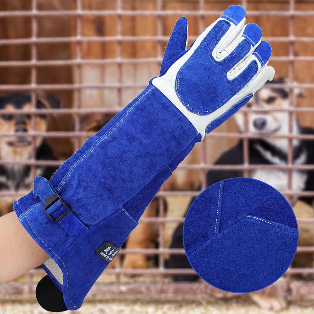 dog training glove