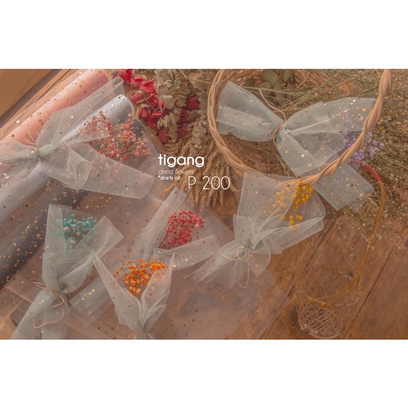 Pinatakang Tigang (Gypsophila, Small) Shopee Philippines