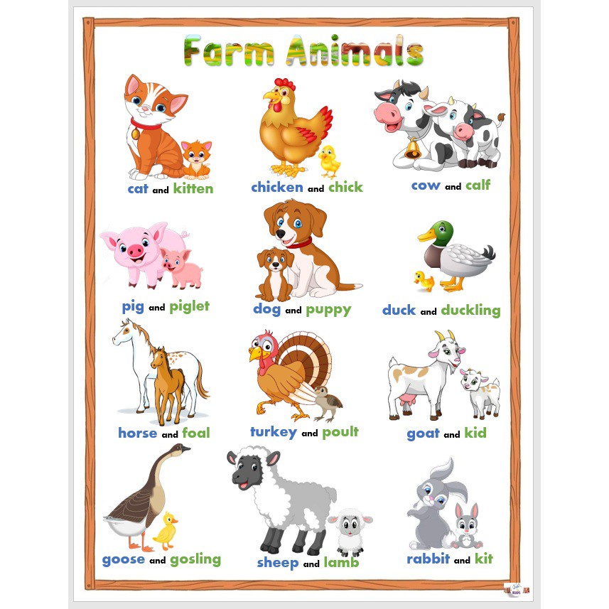 Laminated Chart Farm Animals Educational Charts For Kids85x11