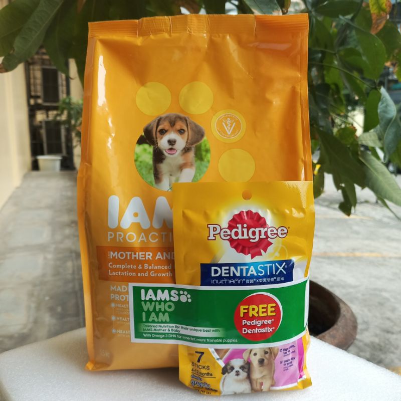 IAMS Mother and Baby Dog 1.5kg FREE DENTASTIX Shopee Philippines