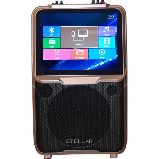 portable speaker and microphone system