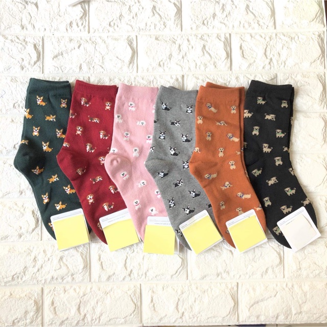Korean Socks - Scattered Dog Socks - Iconic Socks | Shopee Philippines