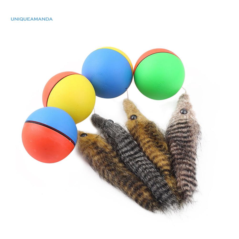 dog toy battery operated ball