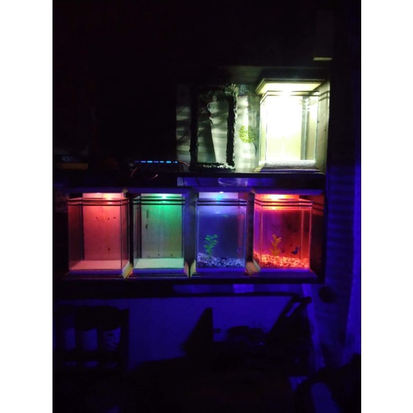 wood frame with lights only!(no accessories and tank)OPEN FOR WS #4