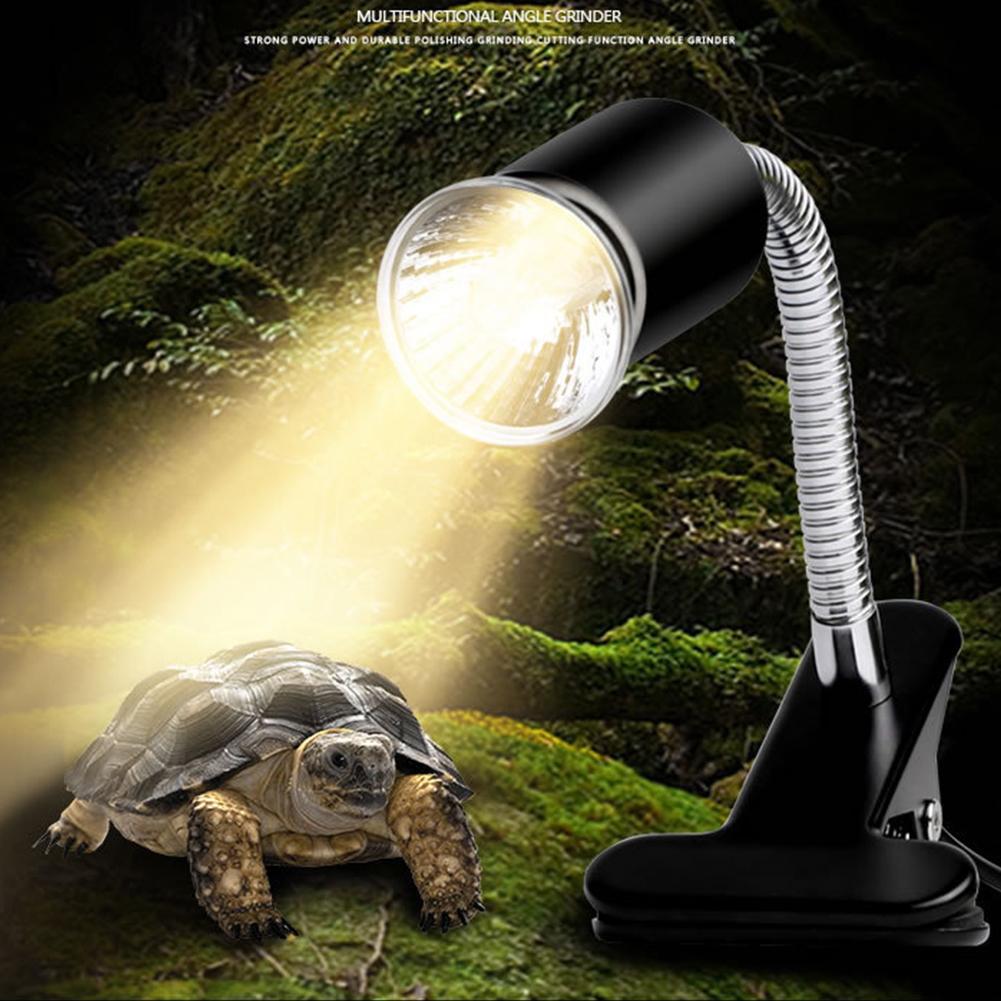 tortoise uv strip light