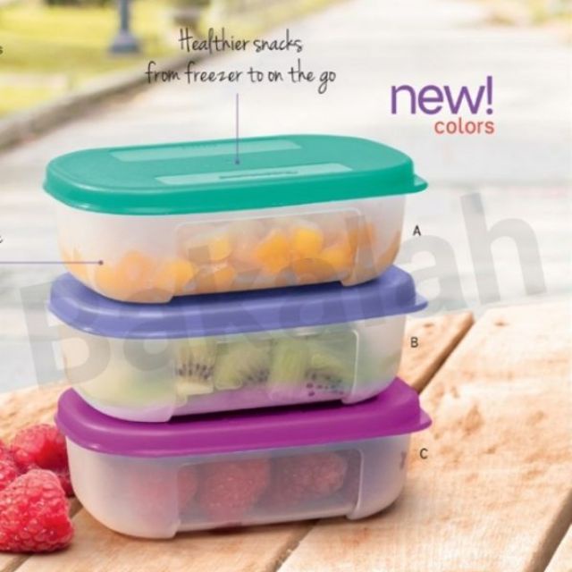 Freezermates Mini 140ml by Tupperware Brands Philippines Incorporation