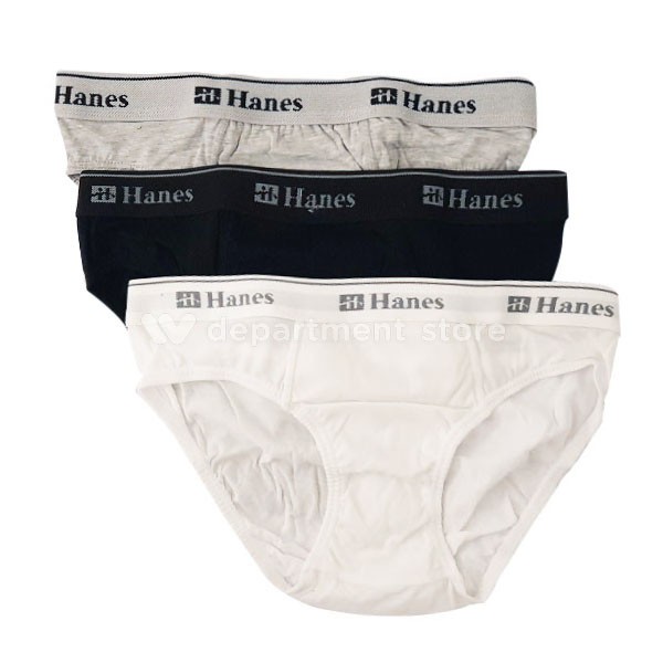 hanes bikini underwear mens