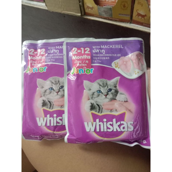 Whiskas junior wet food (12pcs) Shopee Philippines