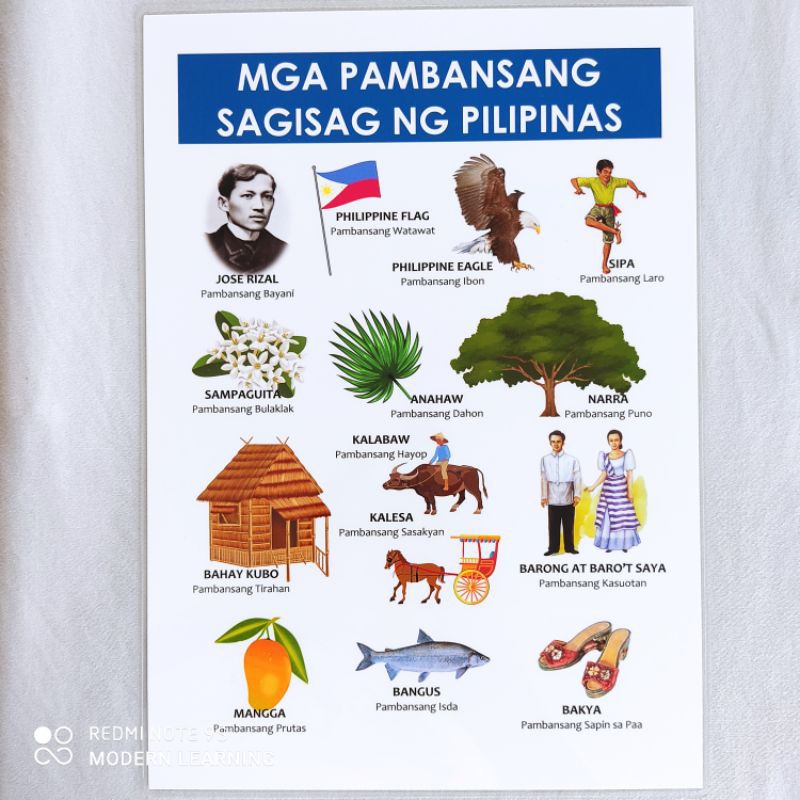 Laminated Pambansang Sagisag (National Symbols) A4 | Shopee Philippines