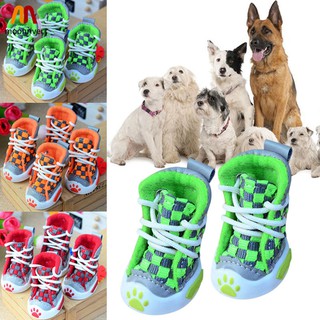 pet sneakers