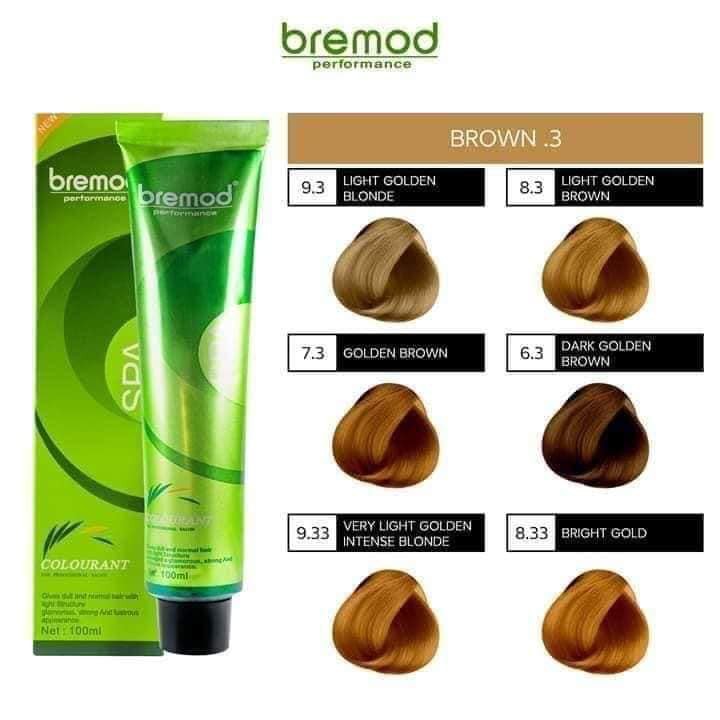 bremod hair color 100ml shopee philippines