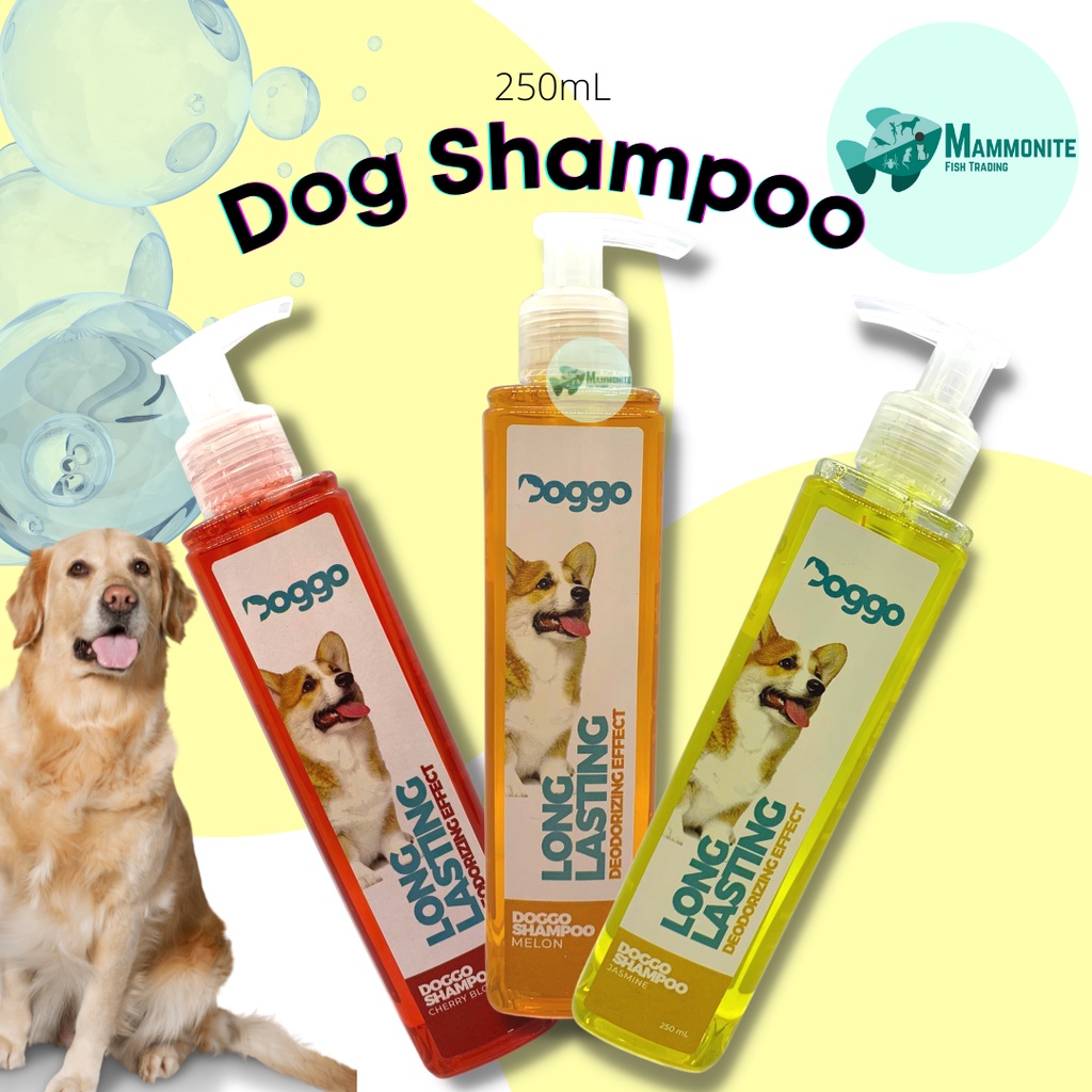 What Is The Best Deodorizing Dog Shampoo