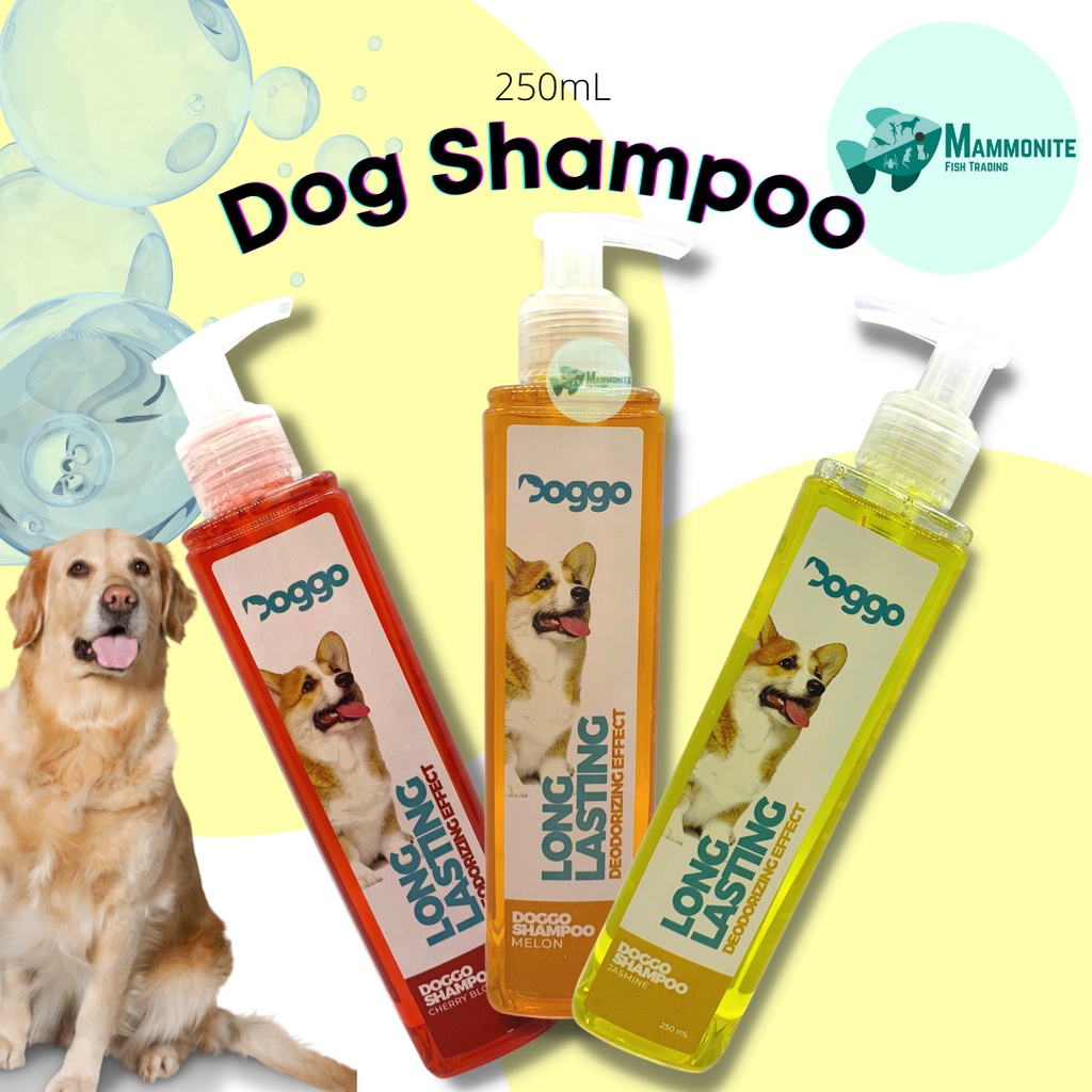 what is the best deodorizing dog shampoo