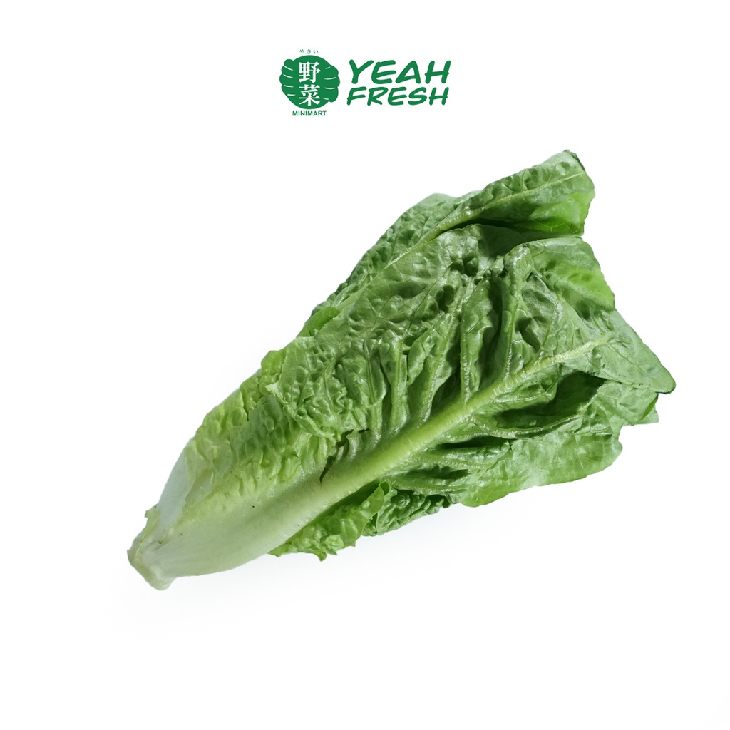 Yeah Fresh Romaine Lettuce (500g) Shopee Philippines