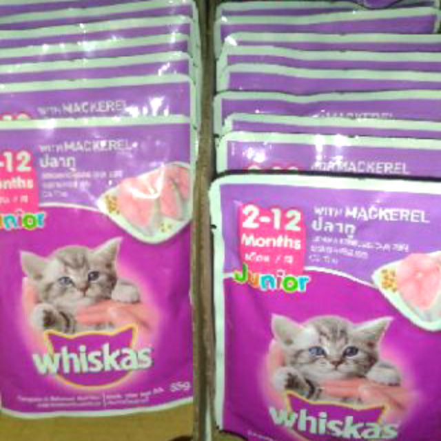 whiskas baby cat food