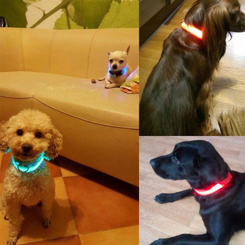 Monsy Pet Collar Adjustable Pet Collar Dog Cat Collar Safety Buckle Neck Strap LED Ring Collar #7