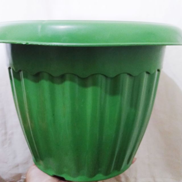 Big Plastic Plant Pot Shopee Philippines