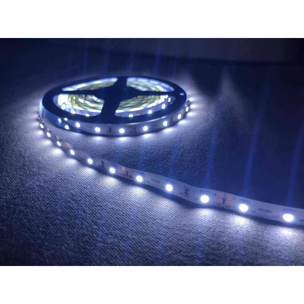 Indoor smd3528 cool white and warm white led strip lights, 220V SET OR