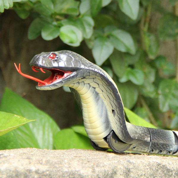 water snake toy video