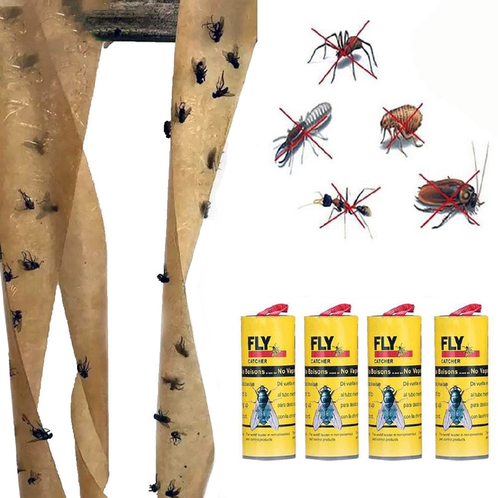 how to trap flies at home