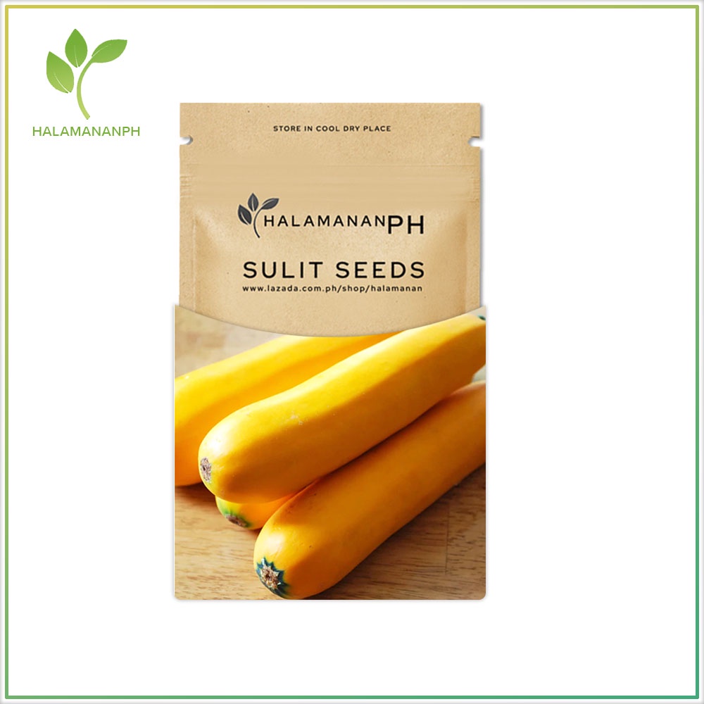 4 SEEDS ZUCCHINI GOLD RUSH SUPER SULIT VEGETABLE SEED PACK [Halamanan