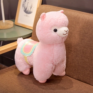 alpaca teddy
