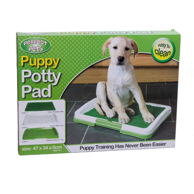 Poop Placement Pee Potty Tray + Grass Pet Toilet Dog Cat Animal